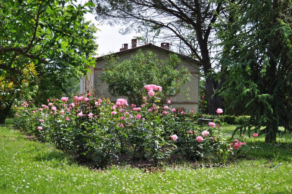 Domaine De Belcayre Bed and Breakfast Montauban Exteriör bild